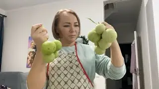 #влог