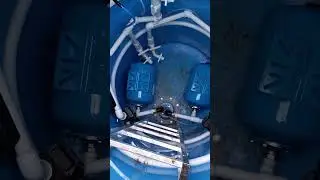 😲😧 ВЫ ВИДЕЛИ ТАКОЕ?