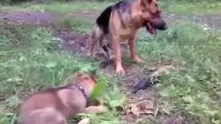 Прогулка Легенды