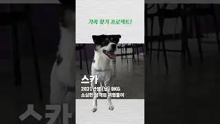 좋아요 1만 개 달성 시 100만 원 기부 #사지말고입양하세요 #유기견입양 #유기견후원