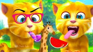 talking ginger funny videos 😹 | my talking tom | talking ginger |