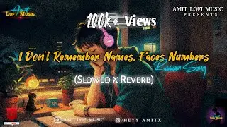 I Don't Remember Names, Faces Numbers |Slowed+Reverb | Lofi Song | Russian Song 🇷🇺 | Amit Lofi Music