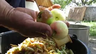 сушим яблоки за один день на солнце