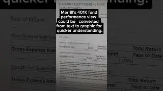 Merril's 401K funds performance views.
