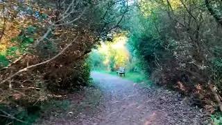 Molino de Santa Olaja Cantabria España