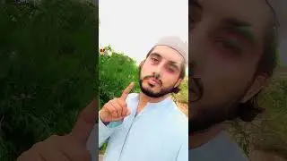 دا په ژوند کښې زما لویه ناکامي دا #pashtopoetry #shorts #tiktok #شعرونه
