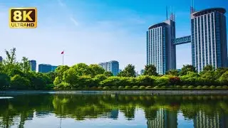 Best Amazing Beautiful 8k Eye-Catching Scene | Mundo Trip