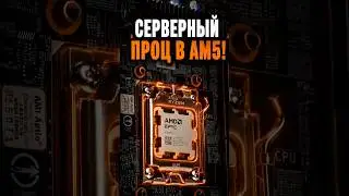 You Don't Know About This Processor! 
