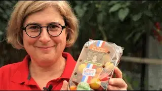 Comment devient-on productrice de tomates cerises ?