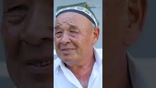Qalbaki pullar | 