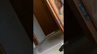 ПОСЛЕ ЭТОГО ПРАНКА ОТ МЕНЯ УШЛА ЖЕНА😭‼️ Inst:sever1off 