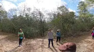 Guided Hike at Peckinpaugh Preserve! VID 20250208 095554 00 026