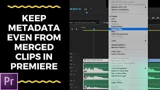 Not Losing Metadata With Merge Clips | Premiere Pro To Pro Tools