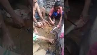 LeLe super