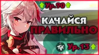 Как правильно качать героя Genshin Impact