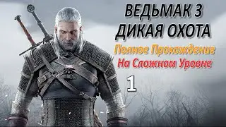 The Witcher 3 Wild Hunt Professional Walkthrough Part 1 - The Beginning (Story)