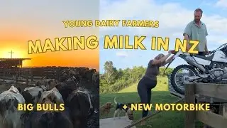 MILK Farming (our life inside NZ's largest industry)