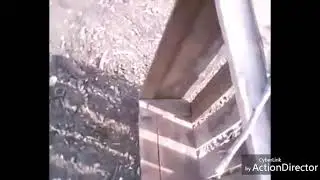 Ловушка для птиц