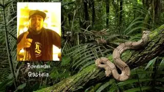 Boneman Promo Instinto Animal 2014