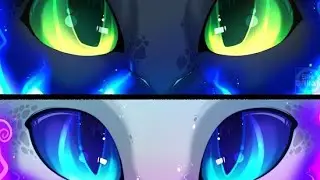 Light Fury and Toothless / «Wonder» \ Ч.О