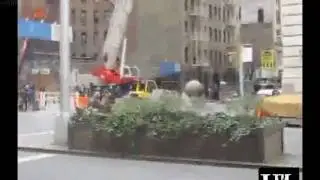 Is this real?
