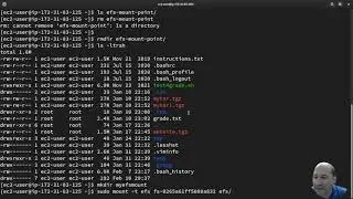 Mounting Elastic File System(EFS)(NFS) to an EC2 Instance AWS, Beware of Security Groups blocking