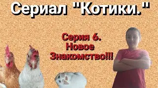 Сериал 