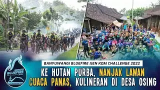 Ke Hutan Purba, Nanjak Lawan Cuaca Panas, Kulineran di Desa Osing - Banyuwangi Bluefire Ijen KOM