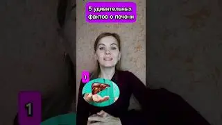 5 удивительных фактов о печени 