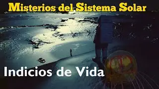 Vida en el Sistema Solar: Más Allá de la Tierra, ¿Dónde Podría Existir?