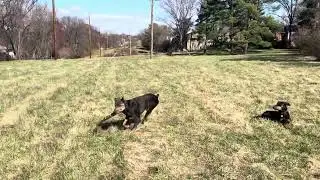 Juliet on the attack