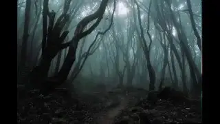 Нечто из леса - страшная история -