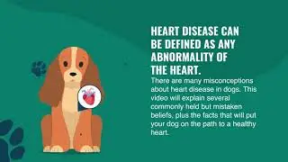 Heart Disease in Dogs | Merck Veterinary Manual