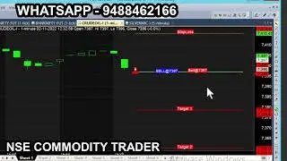 crude nov 2