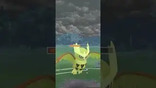 Is It ENOUGH!? Noctowl Can Tank and Deal Damage!