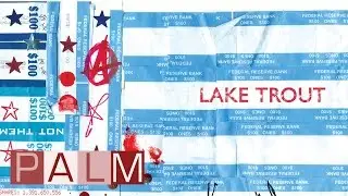 Lake Trout: King