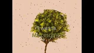 I wanna Marcescence - Jtool All Clear