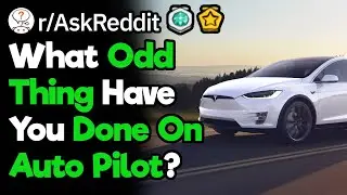 What's Something Funny You Accidentally Did On Auto Pilot? (r/AskReddit)