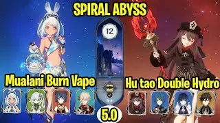 C0 Mualani Burn Vape & C0 Hu Tao Double Hydro - Spiral Abyss 5.0