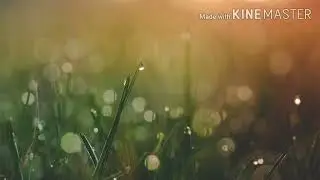 Две дороги ( И. Шварц - Б. Окуджава ) Исп. М. Беляев