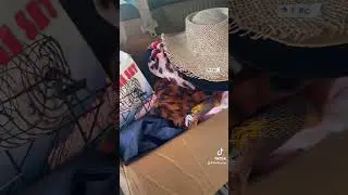 We Made $1,200 While Decluttering! #cleantok #garagesales #declutter
