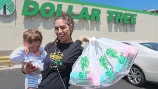 NO BUDGET SHOPPING SPREE AT DOLLAR TREE!! (CHALLENGE)