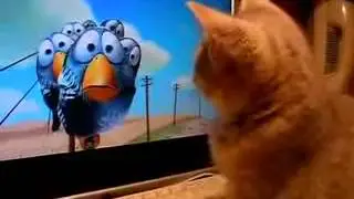 Котята тоже любят мультики