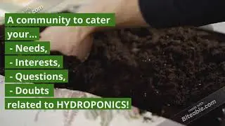 Hydroponics Farming India🍀🌿