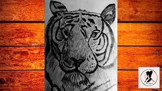 Tiger pencil art
