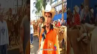 Irineu você não sabe nem eu #memes #dublando #humor #funny#serjão #serjãoberranteiro #reporter