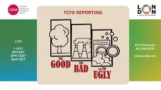 TCFD Reporting: the good, the bad, and the ugly