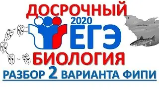 ДОСРОЧНЫЙ ЕГЭ 2020 БИОЛОГИЯ (Разбор 2 варианта)