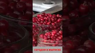 Анонс 20-08-2024