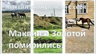Маквин  скинул меня с себя. Маквин и Золотой помирились.  Дагестан.